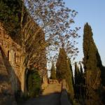 Toscana 2008 Pienza
